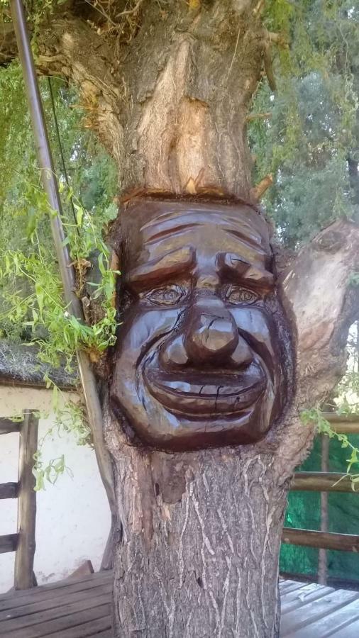 Cabanas Alto Bermejo Villa Mendoza Dış mekan fotoğraf