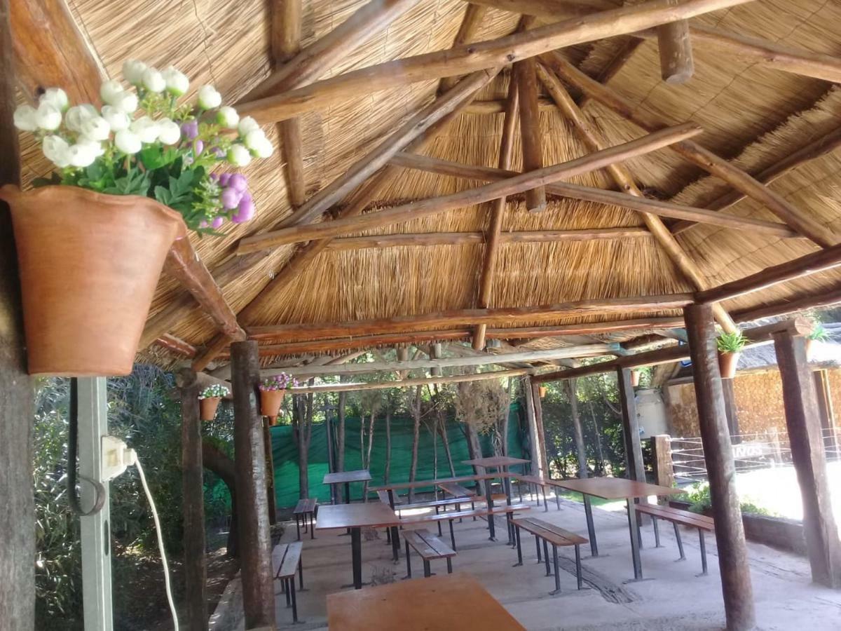 Cabanas Alto Bermejo Villa Mendoza Dış mekan fotoğraf